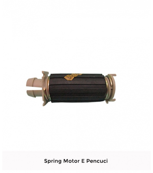 spring-motor-e-pencuci